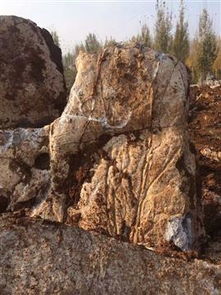 不限,價(jià)格,廠家,供應(yīng)商,沙石 礫石 卵石及制品,臨沂市蘭山區(qū)大躍石材銷售處 熱賣促銷